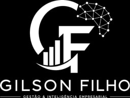 Gilson Filho | Gestão & Inteligência Empresarial
